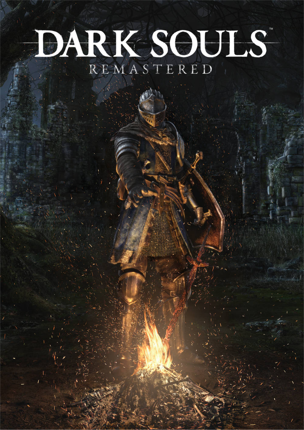 dark-souls-remastered_cover_original.jpg Dark Souls: Remastered Steam (Digital Download) - Image 1